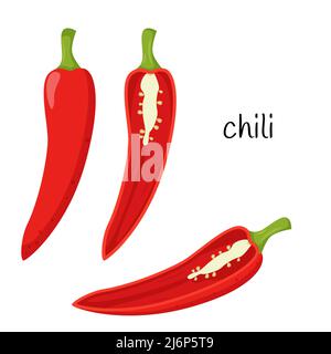 Red hot chili pepper. Whole, half in cross-section, cut. Ingredient, an element for the design of food packaging, recipes, and menus. Isolated on whit Stock Vector