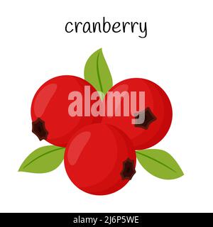 Cranberries with leaves. Fruit, berry icon. Flat design. Color vector illustration isolated on a white background Stock Vector