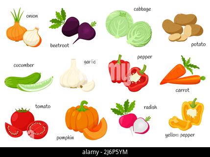 Set of fresh vegetables with signed items. Whole and half. Collection of decorative food design elements for recipes, menus, web icons. Vector illustr Stock Vector
