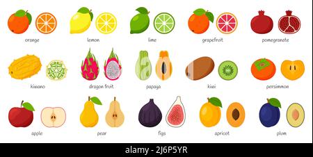 Large collection of tropical, exotic, citrus fruits with names. Set of cutaway fruits. Pairs of fruit, whole and cut in half. Flat vector illustration Stock Vector