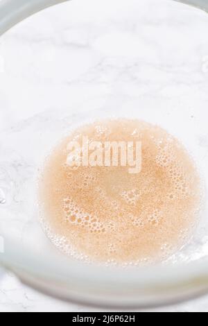 Activating dry yeast in a large glass mixing bowl to prepare the pizza dough. Stock Photo