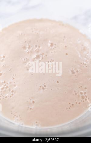 Activating dry yeast in a large glass mixing bowl to prepare the pizza dough. Stock Photo