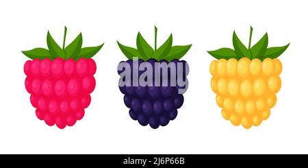 Blackberries, raspberries and cloudberries. Berries with leaves, design elements in a flat style. Color vector illustration, isolated on a white backg Stock Vector