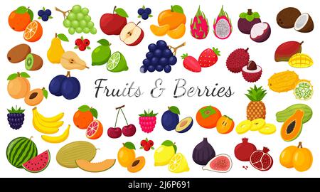 A large set of tropical, exotic, citrus fruits. Fruit and berry icons. Whole fruit, half cut and slices. Huge collection.Flat. Color vector illustrati Stock Vector