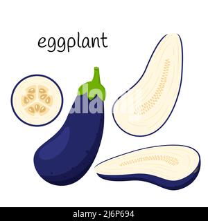 Fresh eggplant. Whole, half with seeds and a slice in cross section. Vegetable, ingredient, the element of packaging design for food, recipes. Isolate Stock Vector