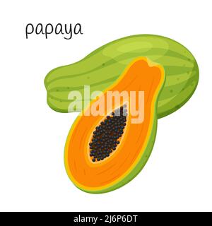 Whole Papaya and cut half with seeds and pulp. Exotic, tropical fruit icon. Flat style. Color vector illustration isolated on a white background Stock Vector