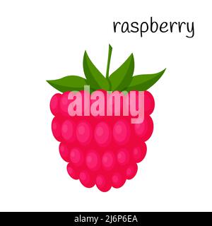 Raspberries with leaves. A single illustration. Fruit, berry icon. Flat design. Color vector illustration isolated on a white background Stock Vector