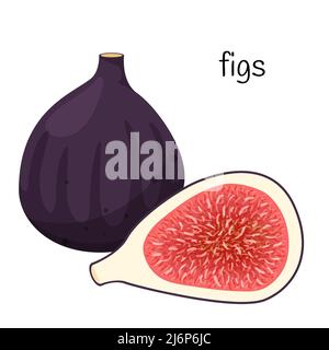 A whole Fig fruit and a cut half with seeds and pulp. Exotic fruit icon. Flat design. Color vector illustration isolated on a white background Stock Vector