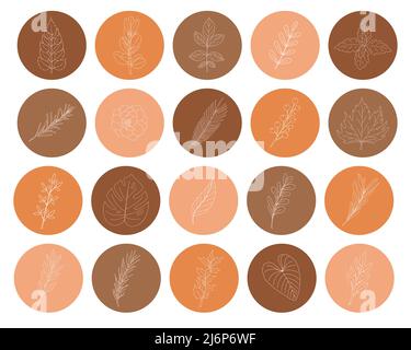 Set of icons on a round shape with twigs and leaves drawn by hand. A collection of Botanical decorative elements in pastel colors for decorating socia Stock Vector