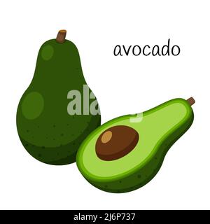 Ripe Avocado. Whole, half with a seed. Vegetable, ingredient, the element of packaging design for food, recipes, menus. Isolated on a white background Stock Vector