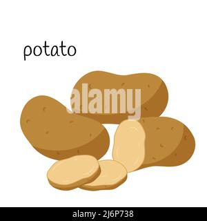 Whole raw potatoes, slices and half in cross section. Vegetable, root vegetable, ingredient, food packaging design element, recipes, menu. Isolated on Stock Vector