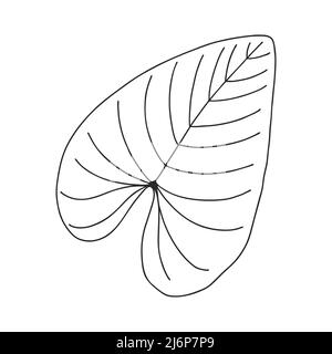 An ordinary leaf of a plant. Botanical decorative element for the design of articles, magazines, recipes and menus. Simple black white vector illustra Stock Vector