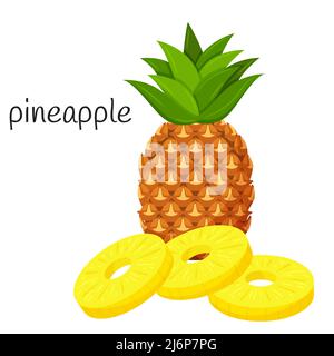 Pineapple whole with leaves and round peeled slices lie on top of each other. Tropical, exotic fruit icon. Flat design. Color vector illustration isol Stock Vector