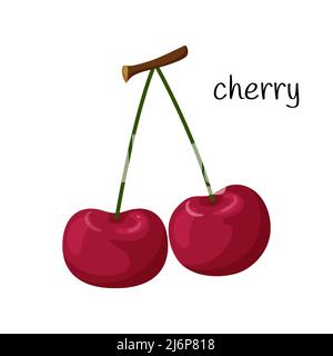 Two cherries on a twig. Fruit, berry icon. Flat design. Color vector illustration isolated on a white background Stock Vector
