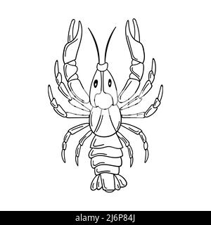 A whole raw live crayfish with pincers. Seafood, a freshwater arthropod. Contour sketch food illustration in doodle style, hand drawn, isolated on a w Stock Vector