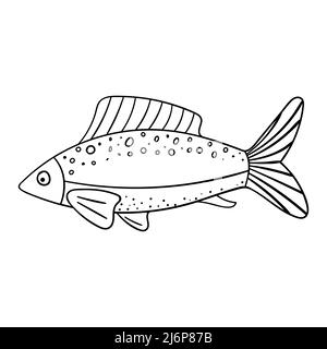 A whole raw fish with fins and tail. Seafood, Sea food. Contour sketch food illustration in doodle style, hand drawn, isolated on a white background. Stock Vector