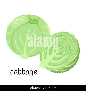 Head of cabbage. Whole and half in cross section. Vegetable, ingredient, food packaging design element, recipes, menu. Isolated on a white background Stock Vector