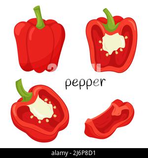 Fresh red pepper. Whole, half in cross-section and a quarter slice. Ingredient, an element for the design of food packaging, recipes, and menus. Isola Stock Vector