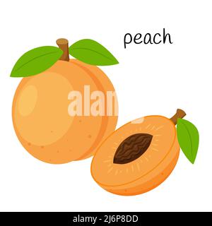 Whole peach and cut half with a seed. Fruit icon. Flat design. Color vector illustration isolated on a white background Stock Vector