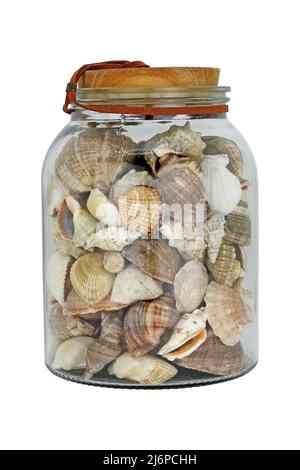 Seashells in a bottle on white background.. Studio shot. Stock Photo