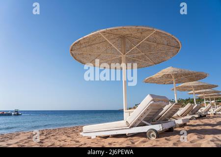 Luxury sand beach with beach chairs and white straw umbrellas in tropical resort in Red Sea coast in Sharm El Sheikh, Egypt, Africa. Empty beaches dur Stock Photo