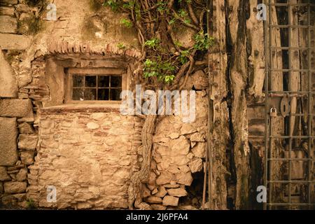 Ancient stone building exterior with window and creeping plant on medieval European building Stock Photo
