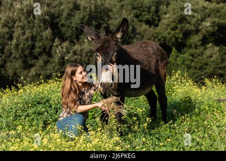 A young girl on her knees in nature, happily feeding a donkey. Stock Photo