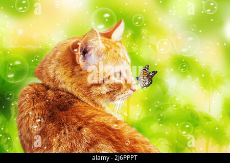 Beautiful ginger cat and a butterfly on a natural background. Beauty in nature. Stock Photo