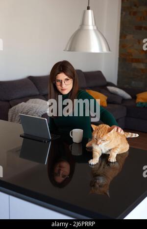 Woman in the kitchen using her laptop with her pet cat Stock Photo