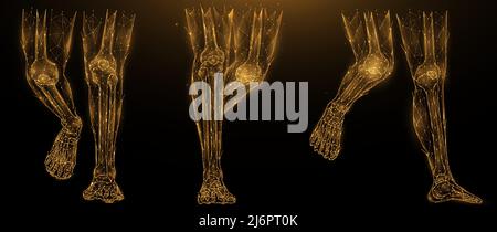 X-Ray Foot Legs Skeleton, Fibula, Tibia - Phalanges Human body, Bones ...