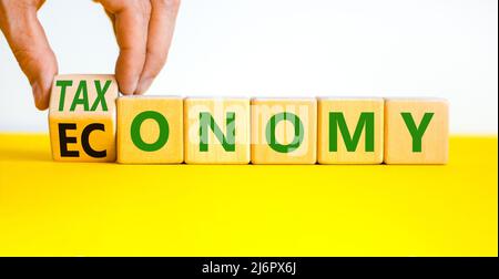 Taxonomy or economy symbol. Businessman turns wooden cubes and changes the concept word Economy to Taxonomy. Beautiful white background. Business ecol Stock Photo