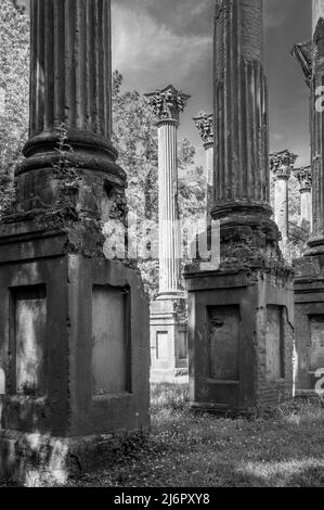 Windsor Ruins near Port Gibson, Mississippi, ruins of one of the largest antebellum homes ever built, located off the Natchez Trace Parkway, USA. Stock Photo