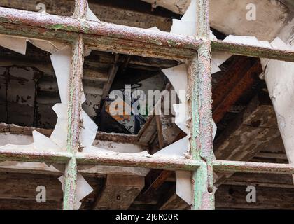 Broken panes of glass in square metal window frames, covered with rust and peeling green paint. A derelict interior is visible beyond. Stock Photo