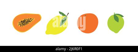 Bright hand drawn citrus fruits. Flat design. Colorful tropical set: papaya, lemon, orange, lime. Vector illustration Stock Vector