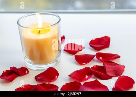 On the red petals of roses, burning aroma candle with the smell of mango. Stock Photo
