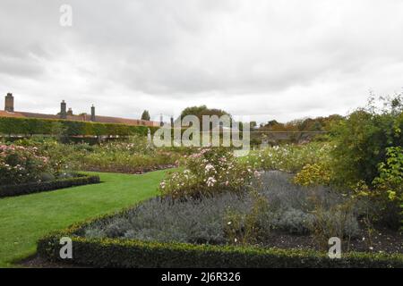 The Rose Garden, Hampton Court Palace, Richmond, London, England. Stock Photo