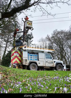 Powerline repairs by engineers from Western Power distribution serving Midlands, South West and Wales. Stock Photo