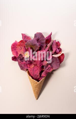 ice cream from colored autumn leaves in trendy color on a beige background. minimalistic concept Stock Photo