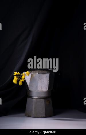 dramatic spring still life with yellow flowers on a white-black background Stock Photo