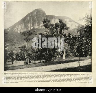 Antique photograph of Botanical gardens and Mount Corcovado, Rio de Janeiro, Brazil 19th Century Stock Photo