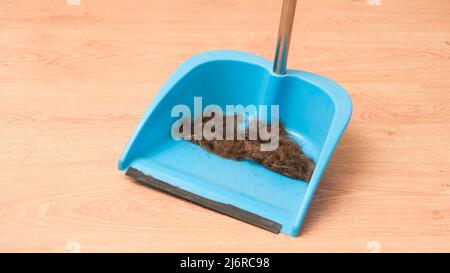 Hair after cutting on the floor. Cleaning hair with a broom in a dustpan. Stock Photo