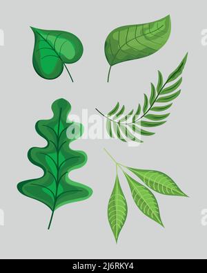 five leaves plants icons Stock Vector