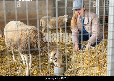 Portrait of female farm worker feeding lambs Stock Photo