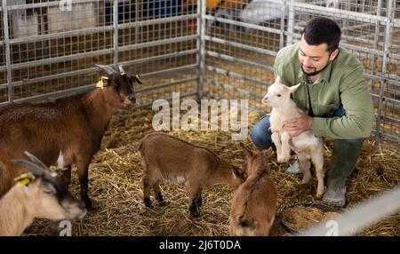 Farmer squatting with goatling in shed Stock Photo