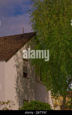 white front of a suburban house with a birch tree in front throwing shadows at the wall on a sunny day Stock Photo