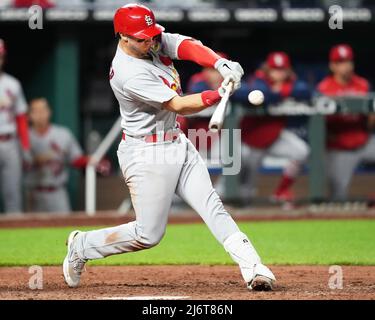 St. Louis Cardinals catcher Andrew Knizner is seen during spring training  baseball practice Monday, Feb. 22, 2021, in Jupiter, Fla. (AP Photo/Jeff  Roberson Stock Photo - Alamy