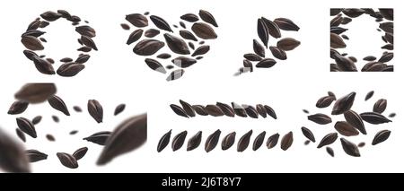 A set of photos. Roasted rye malt grains levitate on a white background Stock Photo