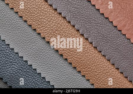 Samples of beige, brown, gray black leather. Leather crafts and craftwork. View from above. Stock Photo