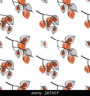 Seamless pattern with dried flowers of physalis, drawn doodle elements in sketch style. Physalis. Phyzalis lace on white background Stock Vector