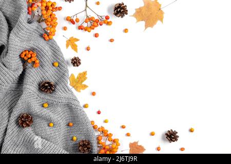 Workspace with golden maple leaves, cones, cozy sweater and rowan on white studio background with copy space for promotion content. Creative compositi Stock Photo